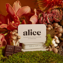 Alice Mushroom Brainstorm Chocolate