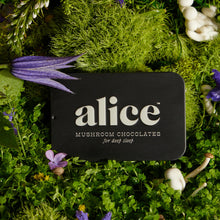 Alice Mushroom Nightcap Chocolate