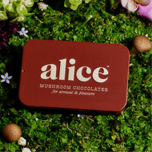 Alice Mushroom Happy Ending Chocolate