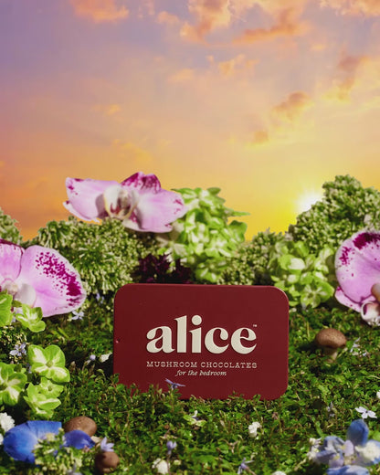 Alice Mushroom Happy Ending Chocolate